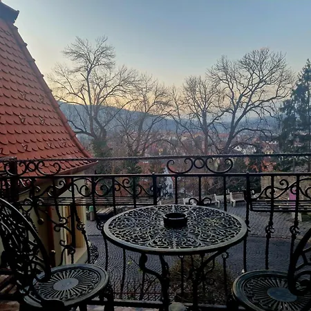 B&B Casa Croitorului 시기쇼아라